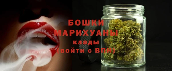 спайс Гусев