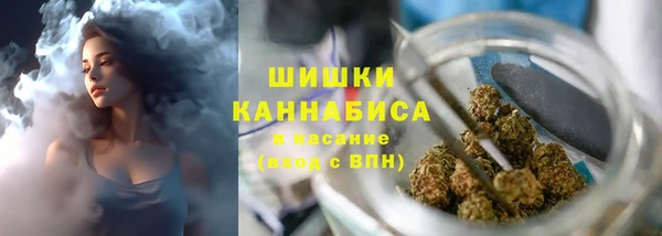 спайс Гусев