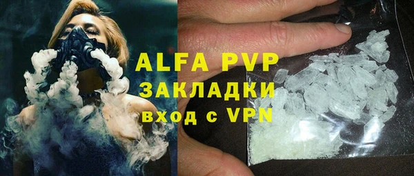спайс Гусев