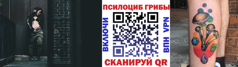 Купить закладки  Чекалин  Галлюциногенные грибы Psilocybine cubensis 